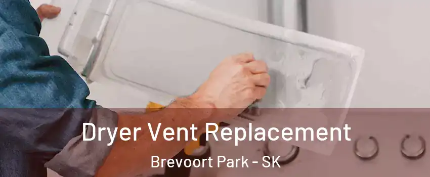  Dryer Vent Replacement Brevoort Park - SK