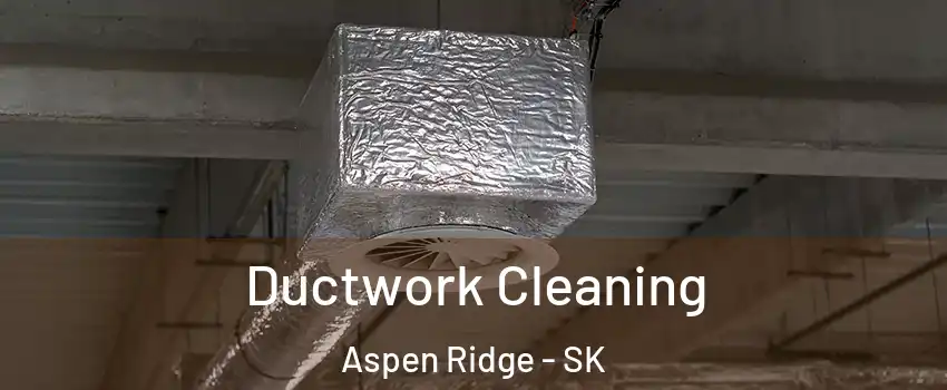  Ductwork Cleaning Aspen Ridge - SK
