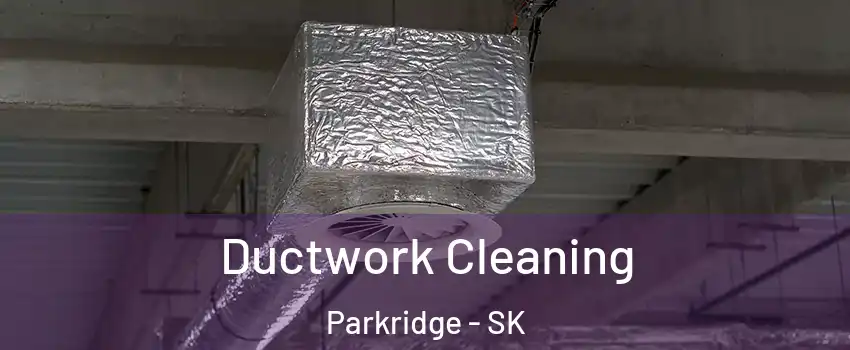  Ductwork Cleaning Parkridge - SK