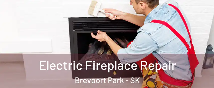  Electric Fireplace Repair Brevoort Park - SK