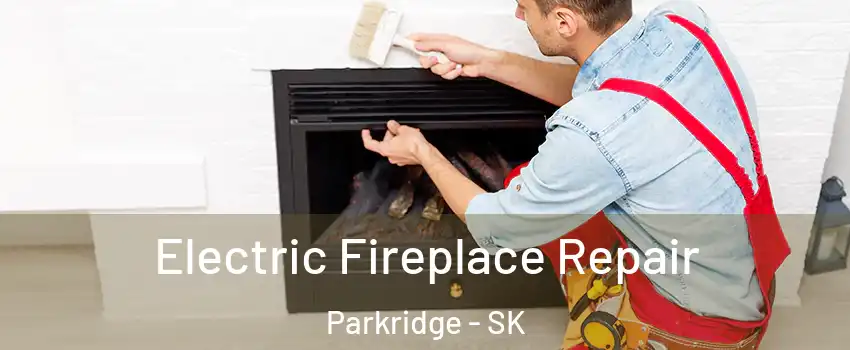  Electric Fireplace Repair Parkridge - SK