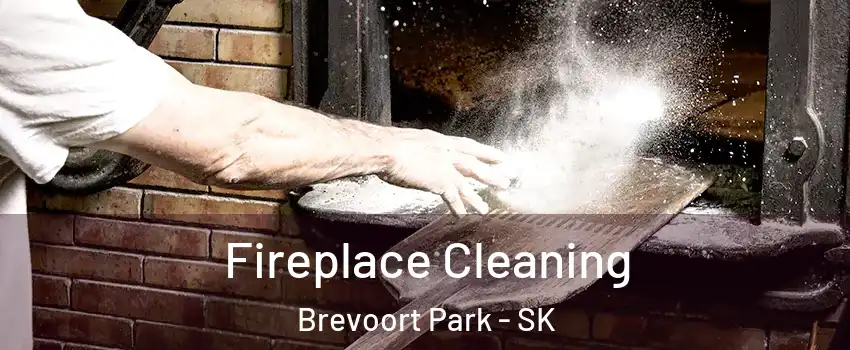  Fireplace Cleaning Brevoort Park - SK