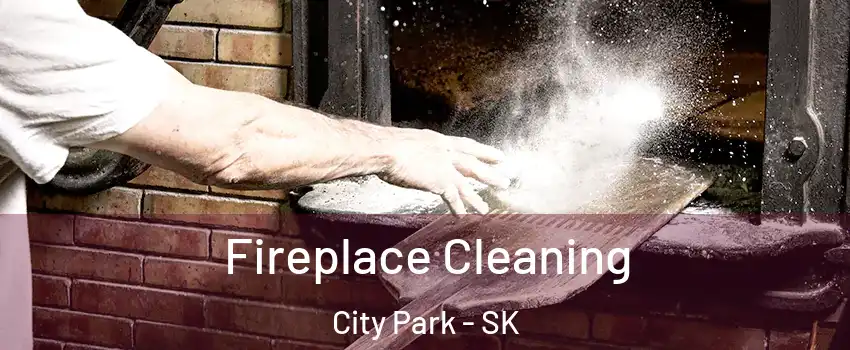  Fireplace Cleaning City Park - SK