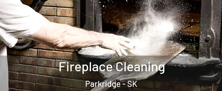  Fireplace Cleaning Parkridge - SK