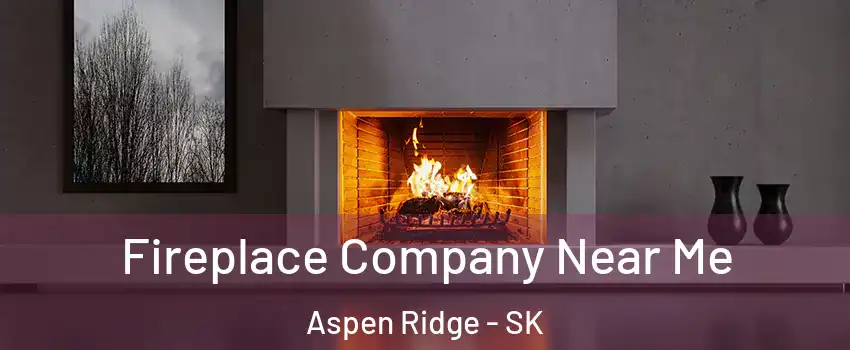  Fireplace Company Near Me Aspen Ridge - SK