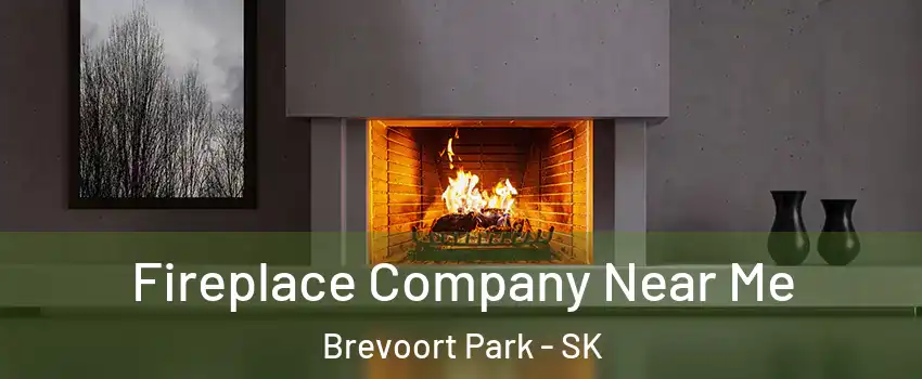 Fireplace Company Near Me Brevoort Park - SK