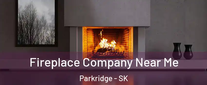  Fireplace Company Near Me Parkridge - SK