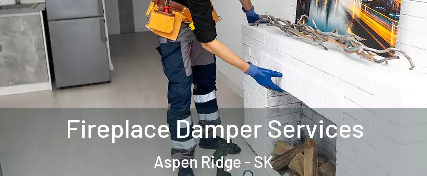 Fireplace Damper Services Aspen Ridge - SK