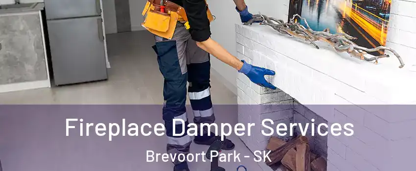 Fireplace Damper Services Brevoort Park - SK