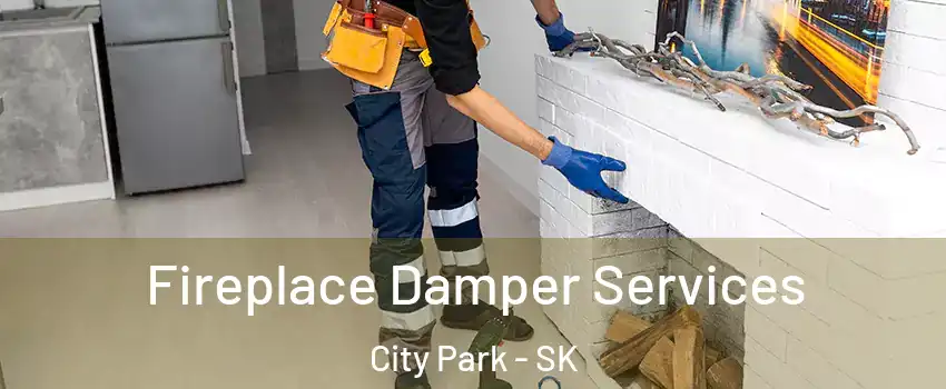  Fireplace Damper Services City Park - SK
