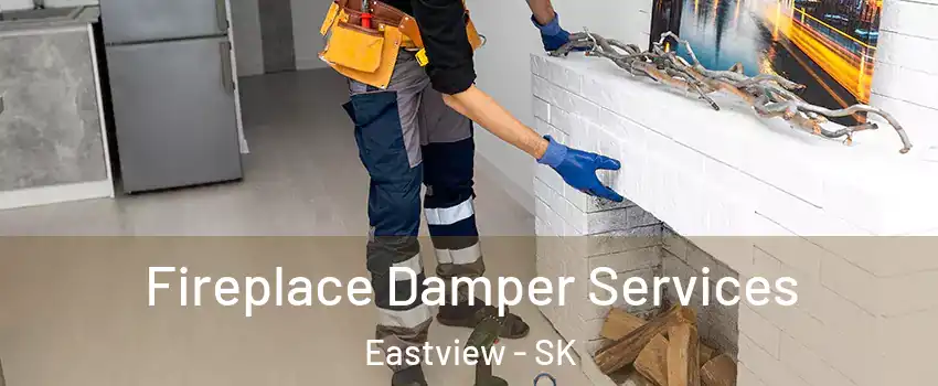  Fireplace Damper Services Eastview - SK