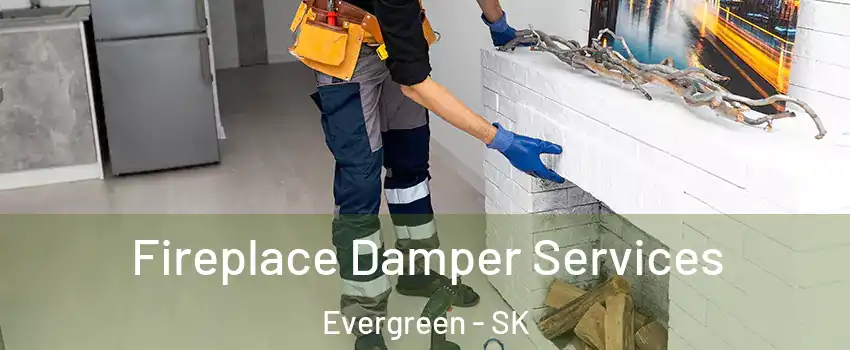  Fireplace Damper Services Evergreen - SK