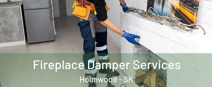  Fireplace Damper Services Holmwood - SK