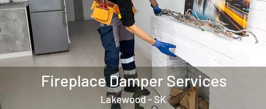  Fireplace Damper Services Lakewood - SK