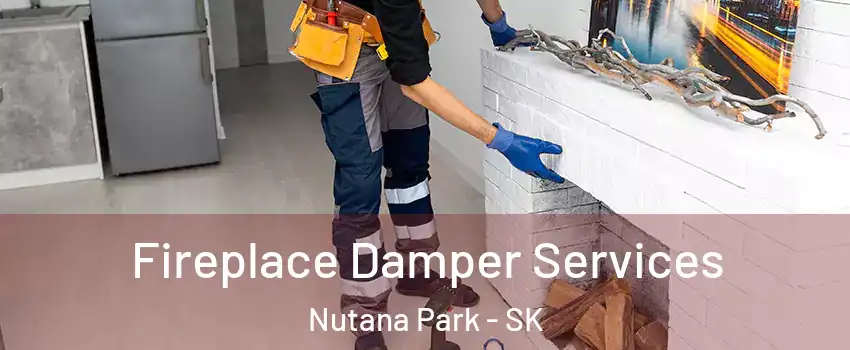 Fireplace Damper Services Nutana Park - SK