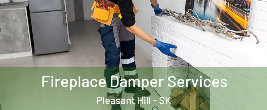 Fireplace Damper Services Pleasant Hill - SK