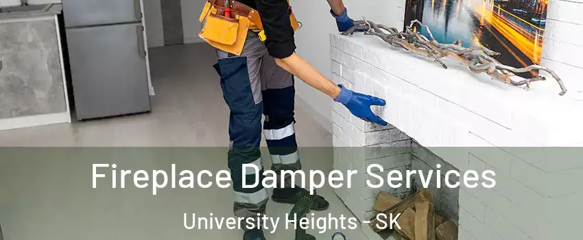 Fireplace Damper Services University Heights - SK