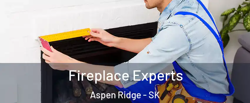  Fireplace Experts Aspen Ridge - SK