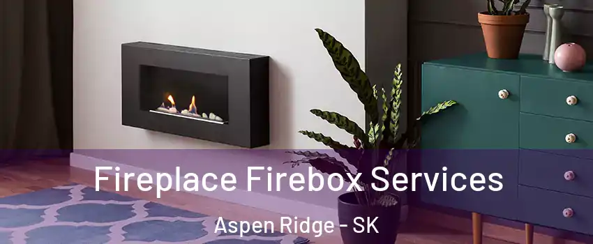  Fireplace Firebox Services Aspen Ridge - SK