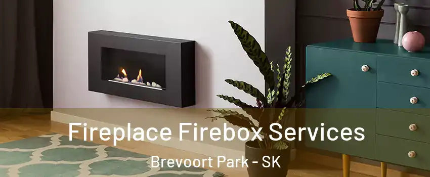  Fireplace Firebox Services Brevoort Park - SK
