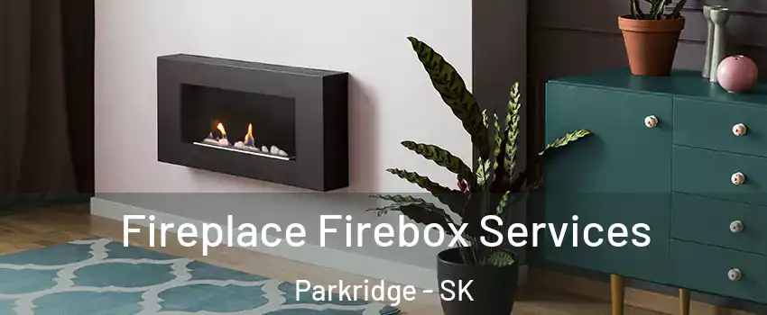  Fireplace Firebox Services Parkridge - SK