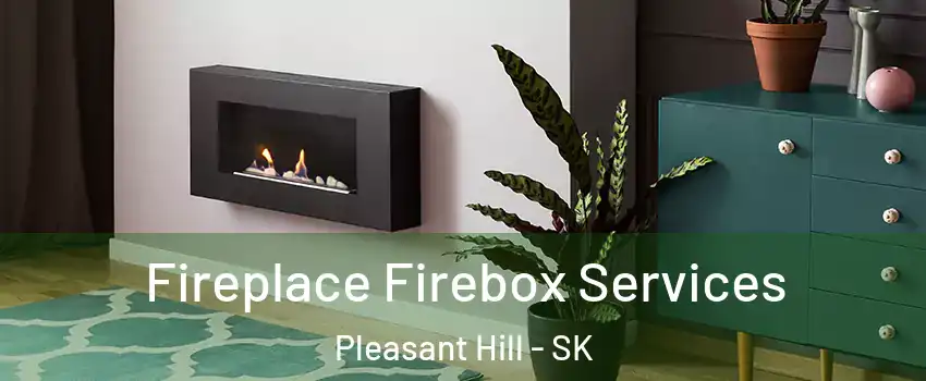  Fireplace Firebox Services Pleasant Hill - SK