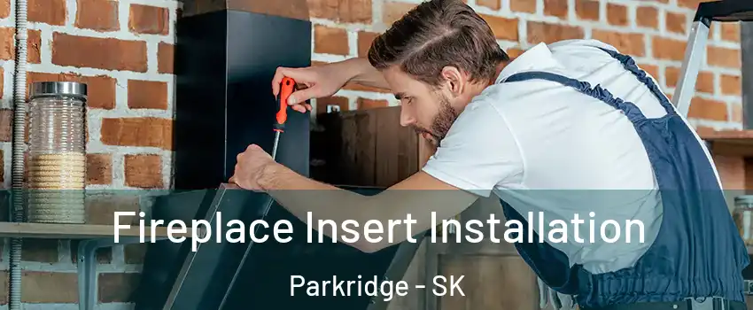  Fireplace Insert Installation Parkridge - SK