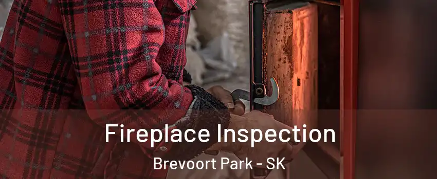  Fireplace Inspection Brevoort Park - SK