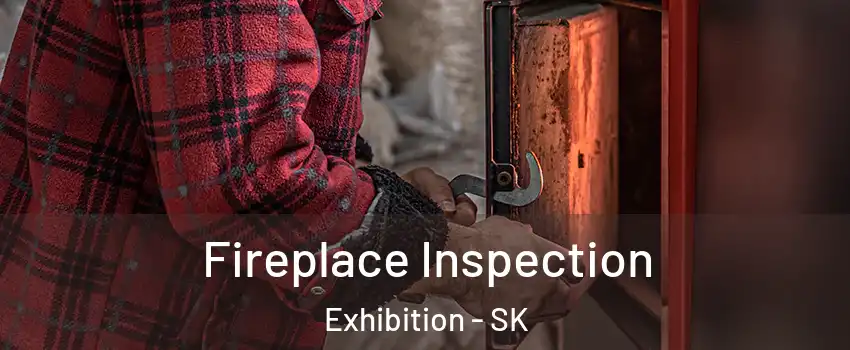 Fireplace Inspection Exhibition - SK