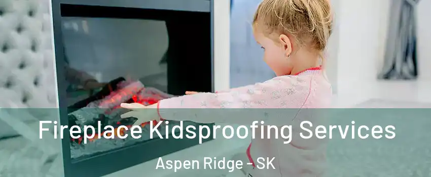  Fireplace Kidsproofing Services Aspen Ridge - SK