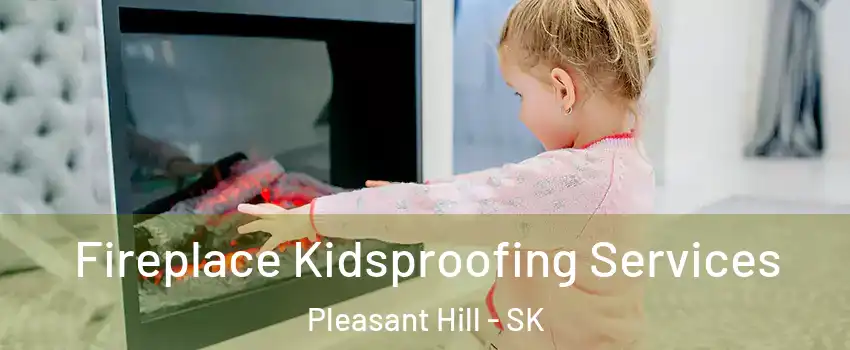  Fireplace Kidsproofing Services Pleasant Hill - SK