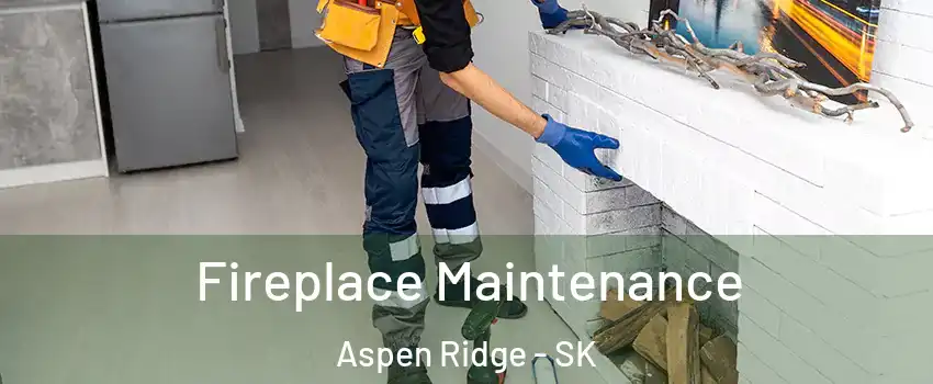  Fireplace Maintenance Aspen Ridge - SK