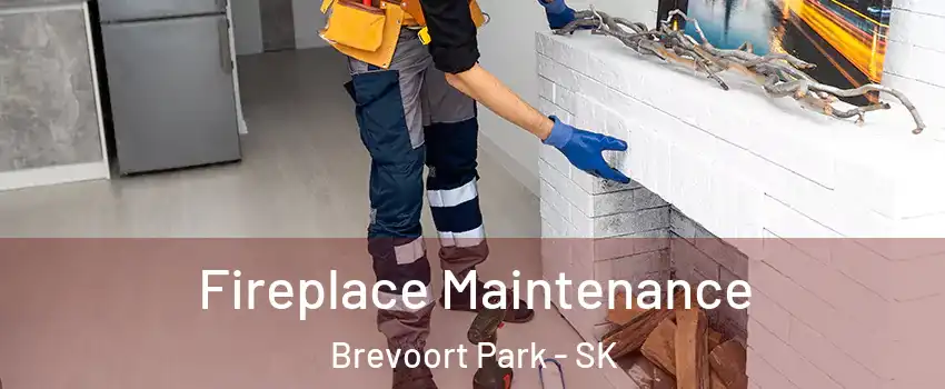 Fireplace Maintenance Brevoort Park - SK