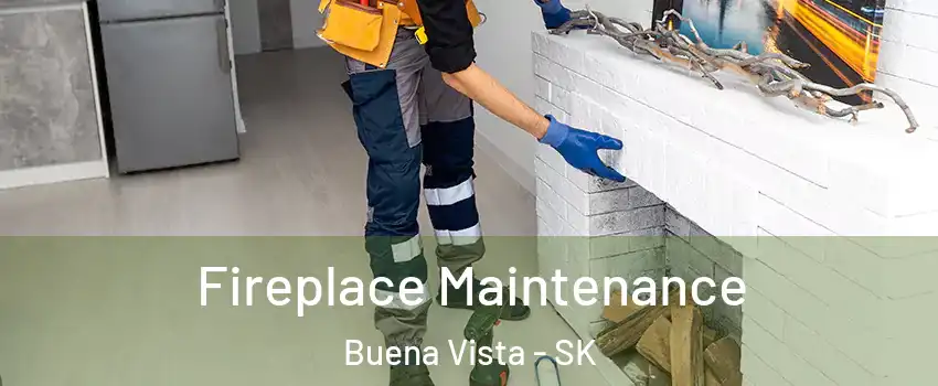  Fireplace Maintenance Buena Vista - SK