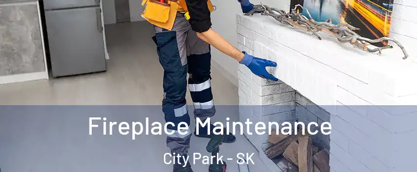  Fireplace Maintenance City Park - SK