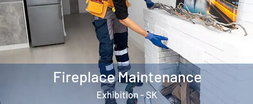  Fireplace Maintenance Exhibition - SK
