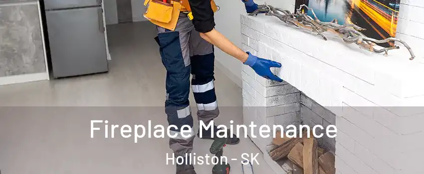  Fireplace Maintenance Holliston - SK