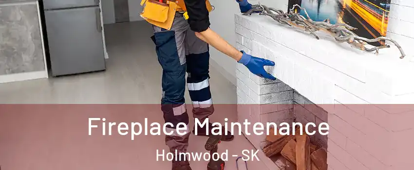 Fireplace Maintenance Holmwood - SK