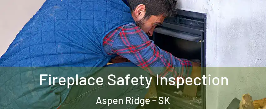 Fireplace Safety Inspection Aspen Ridge - SK
