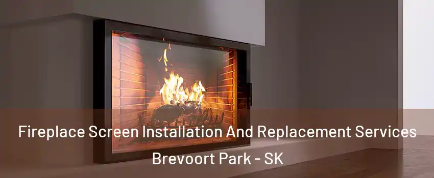 Fireplace Screen Installation And Replacement Services Brevoort Park - SK