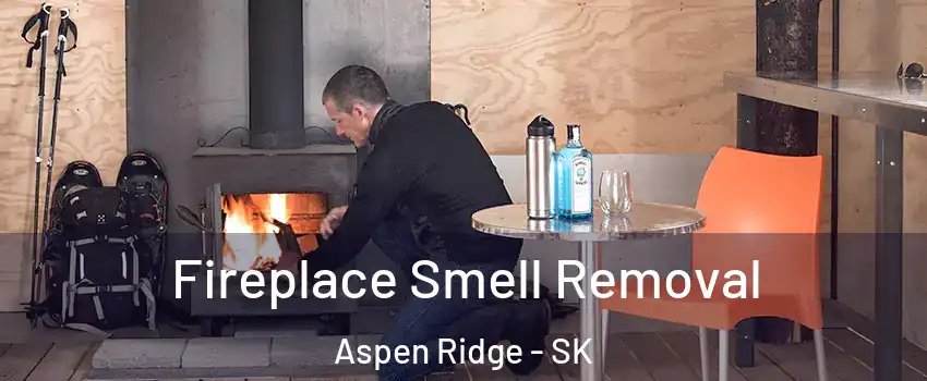  Fireplace Smell Removal Aspen Ridge - SK