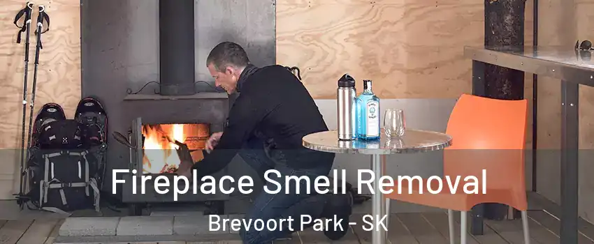 Fireplace Smell Removal Brevoort Park - SK