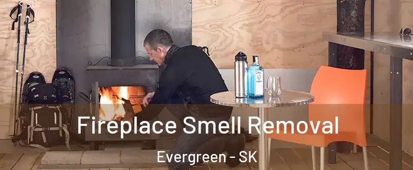  Fireplace Smell Removal Evergreen - SK