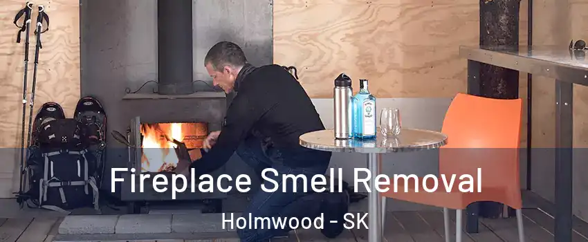  Fireplace Smell Removal Holmwood - SK