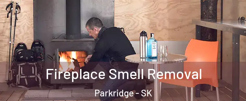  Fireplace Smell Removal Parkridge - SK