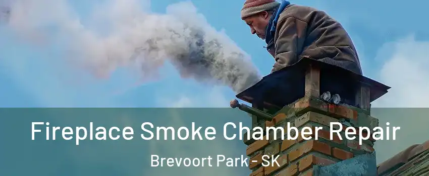  Fireplace Smoke Chamber Repair Brevoort Park - SK