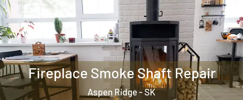  Fireplace Smoke Shaft Repair Aspen Ridge - SK