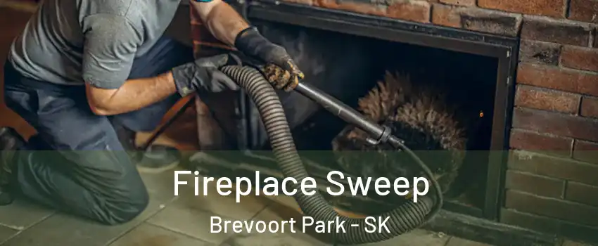  Fireplace Sweep Brevoort Park - SK