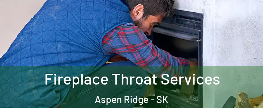  Fireplace Throat Services Aspen Ridge - SK