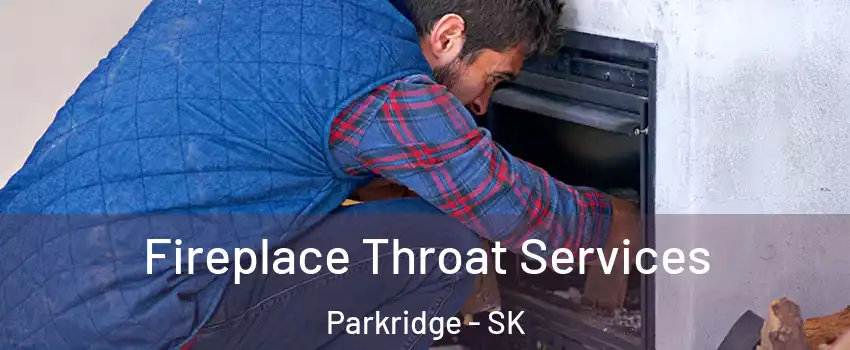  Fireplace Throat Services Parkridge - SK